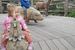 20190517_111859-crop-u18287